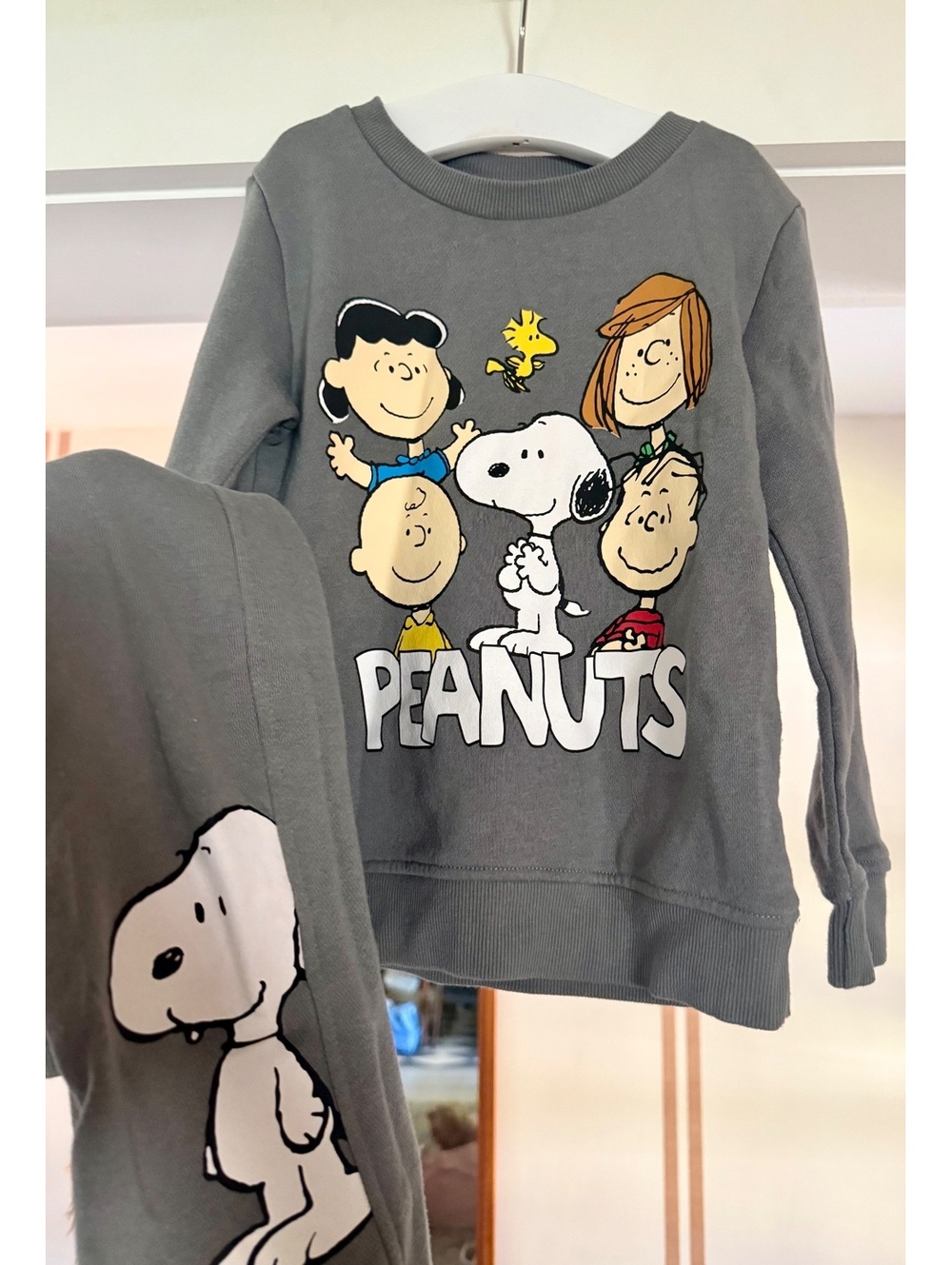 Peanuts Gray Sweat Outfit Sz 4T Great Condition